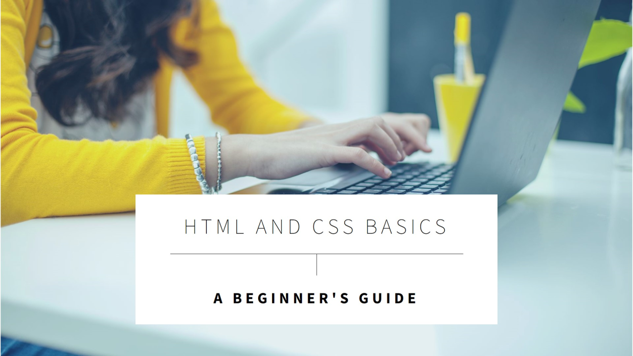 A Beginner's Guide to HTML and CSS