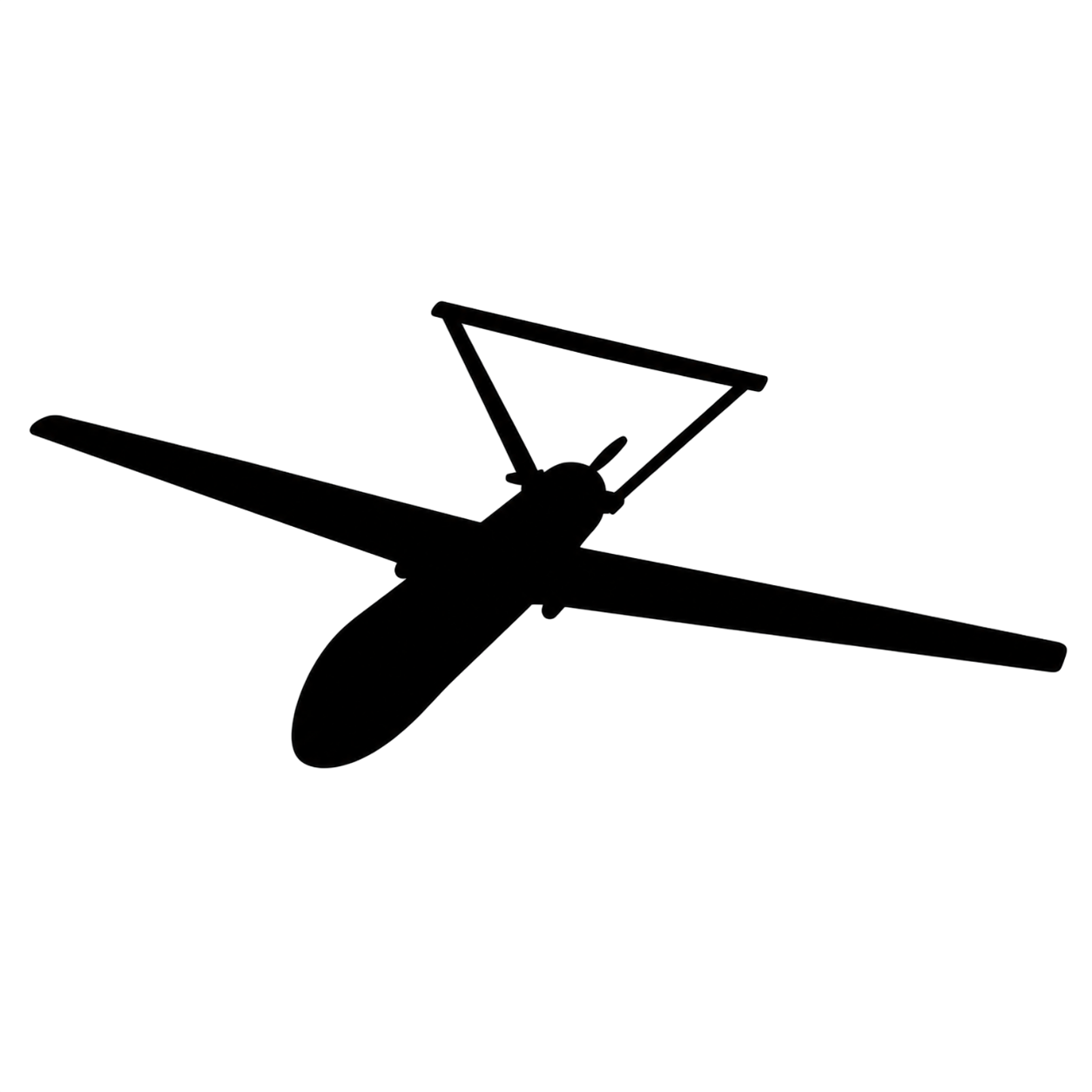 Autonomous Systems - UAS