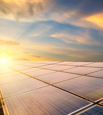 How to Recruit Environmental Specialists for Solar Developments: The Guide to Preventing Planning Delays
