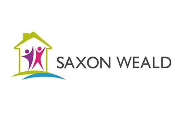 Interim Chief Information Officer, Saxon Weald 