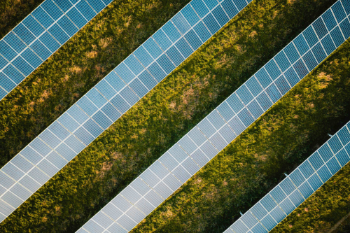 Long rows of solar panels stretch across grassy terrain, demonstrating the integration of clean energy infrastructure within the natural environment.