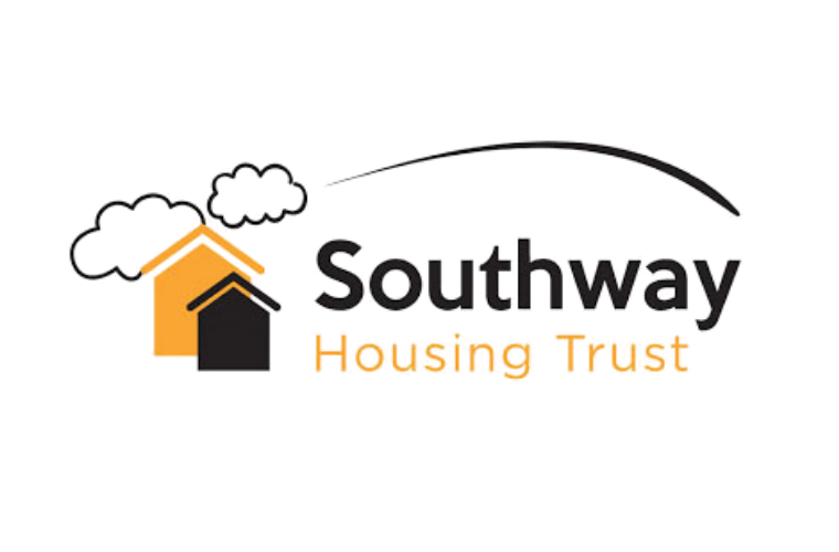 Board Member, Housing Management & Customer Services, Southway Housing Trust 