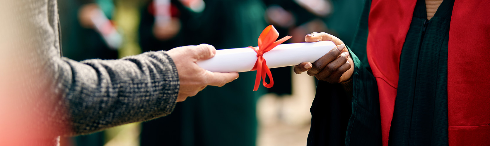 Is a University Degree Still Relevant in Today’s Job Market?
