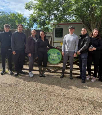 LSP Renewables Team Visits Foal Farm Animal Rescue Centre for Volunteering Day