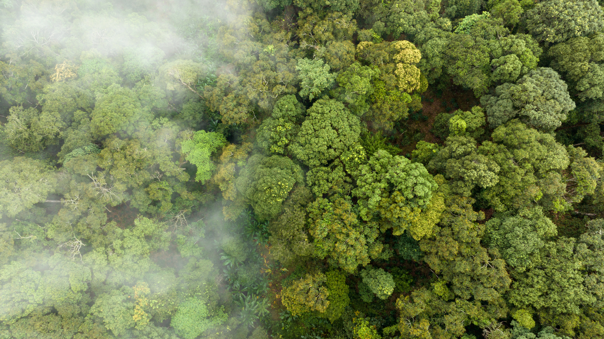 Managing Emissions and Reporting Across the Value Chain image
