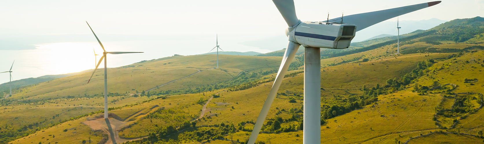 What Does a Renewable Energy Project Manager Do?