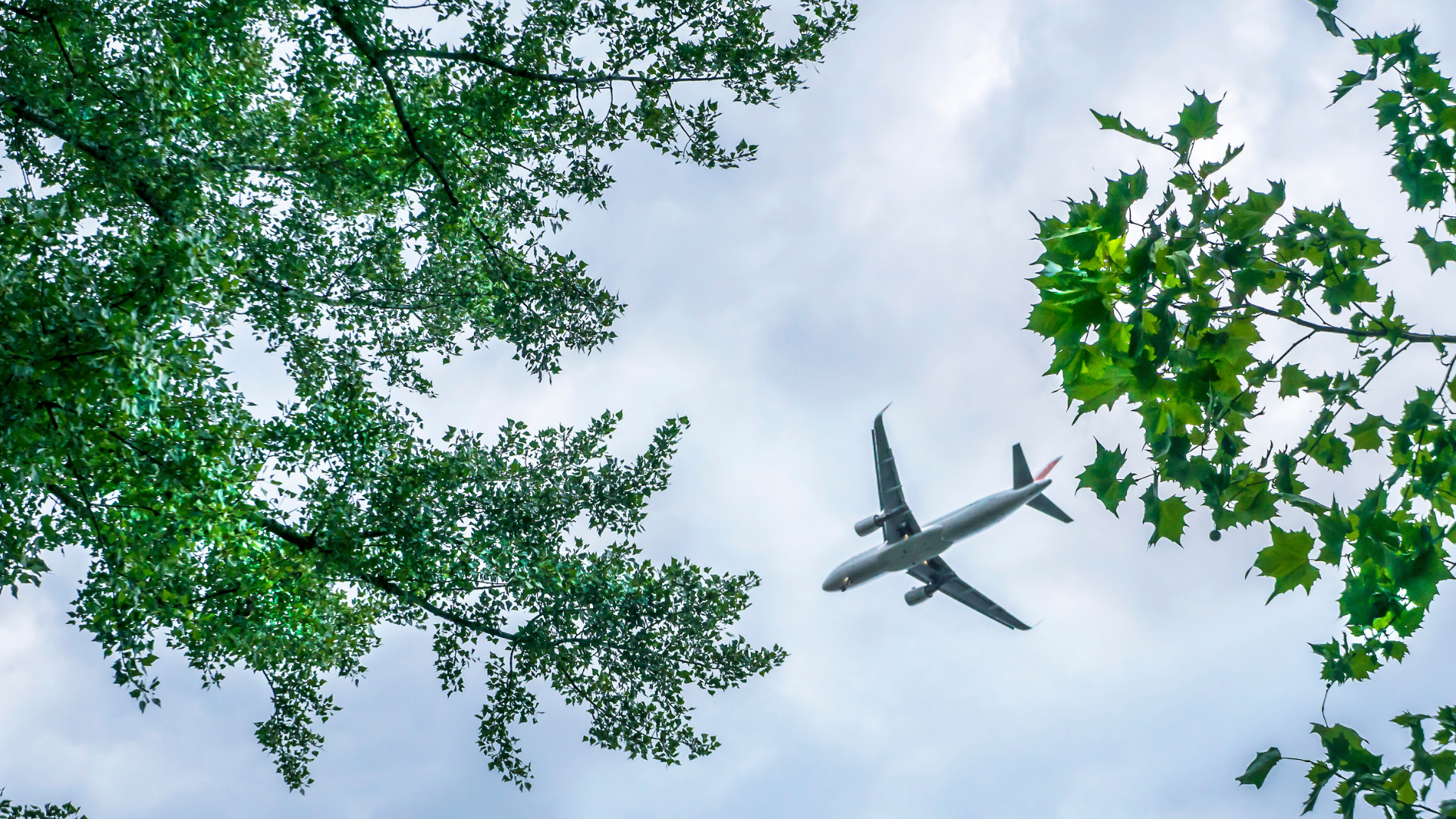 Passenger airplane flying overhead, framed by green tree branches against a cloudy sky.