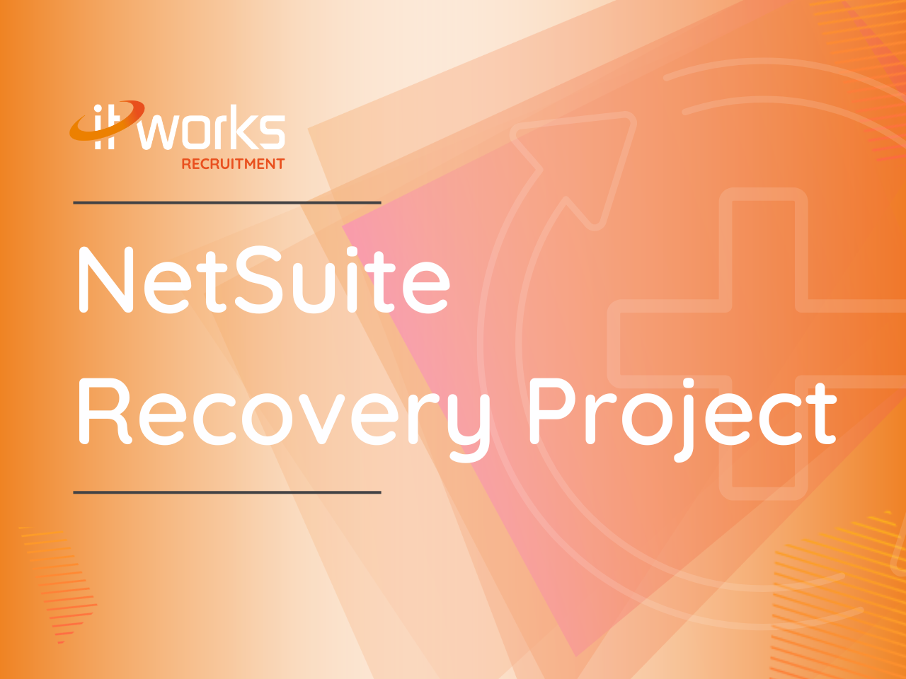 NetSuite Recovery Project
