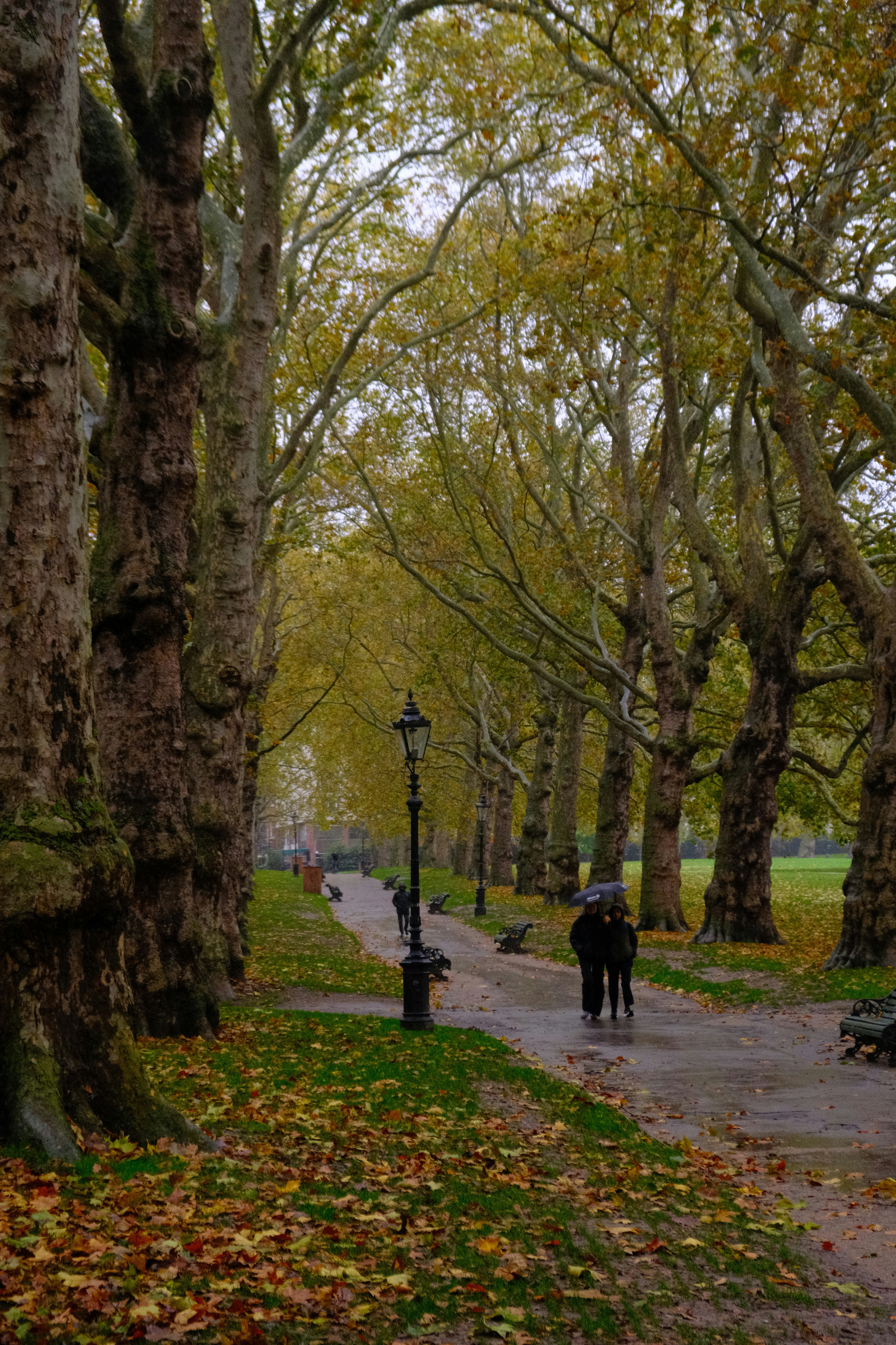 Key Updates in the Autumn Budget and Employment Rights Bill 2024