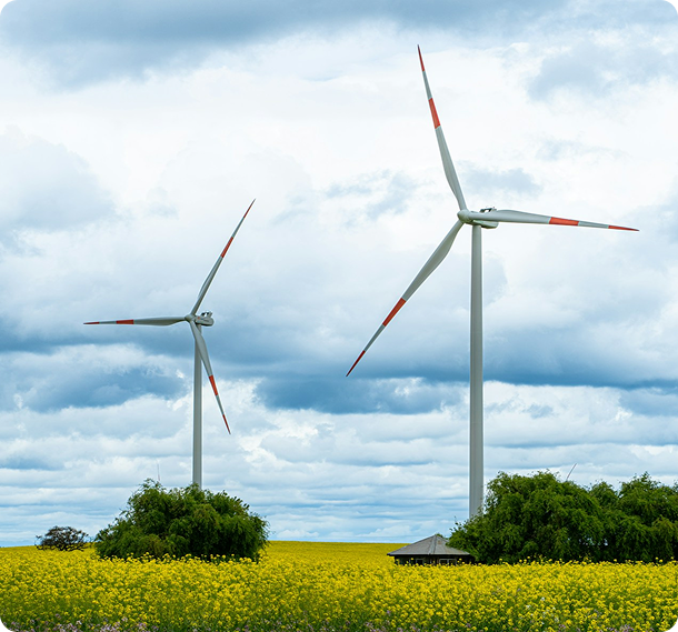 WindEurope hails record 16GW delivery drive