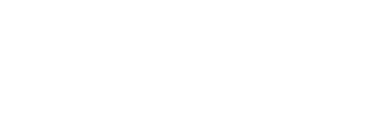 Emeris logo