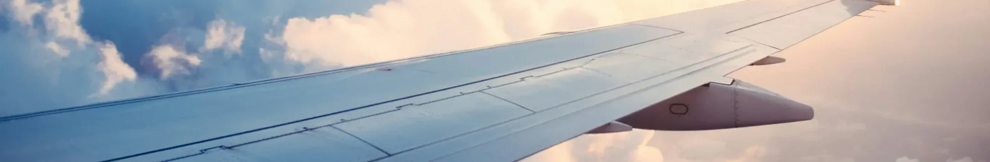 Plane wing