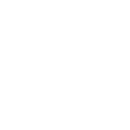 Social Link