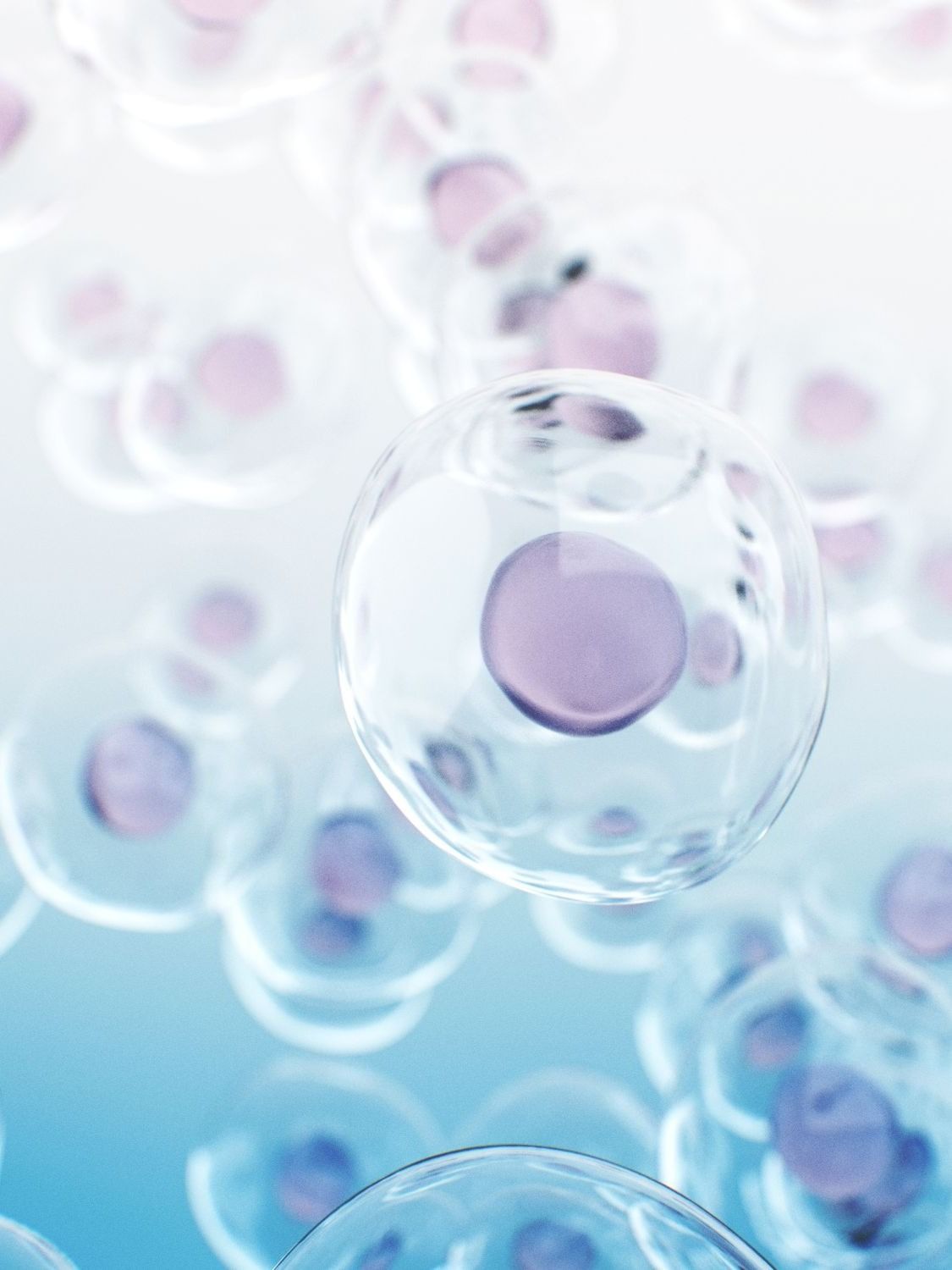 cells