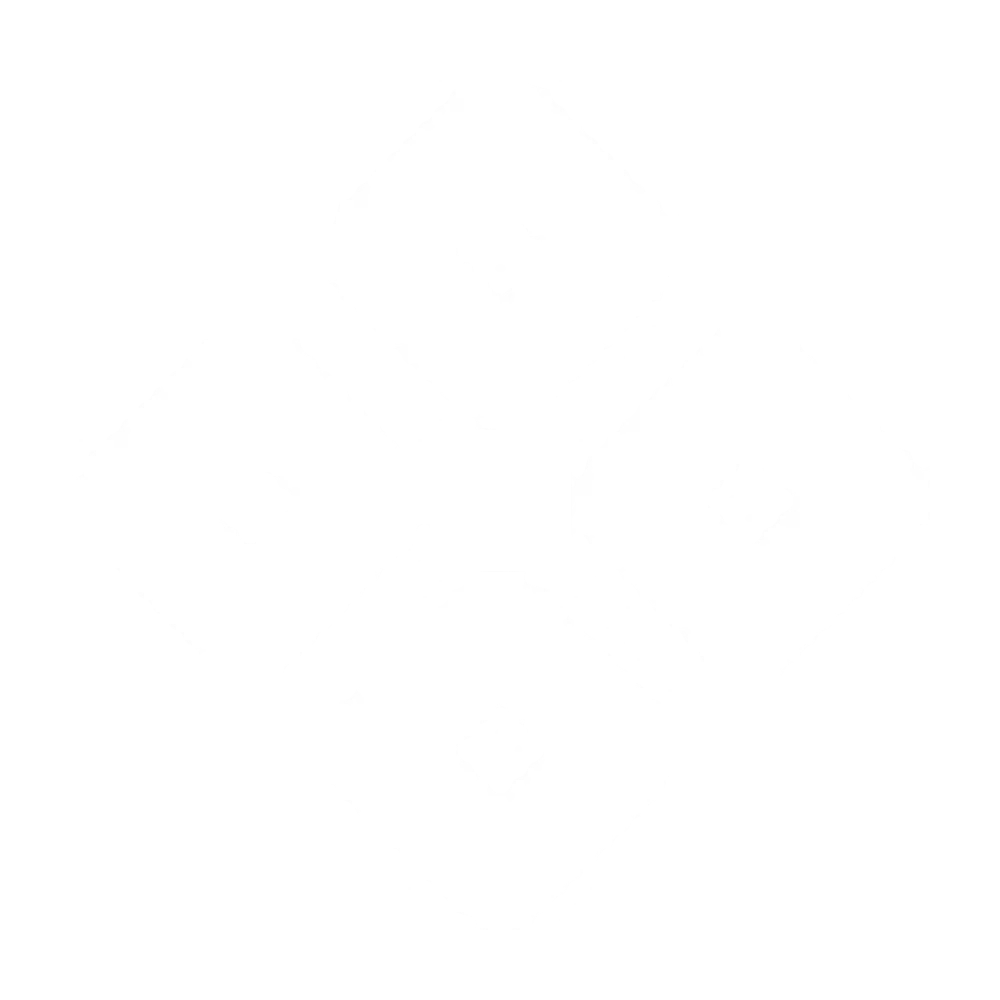 RPO/ Managed Services
