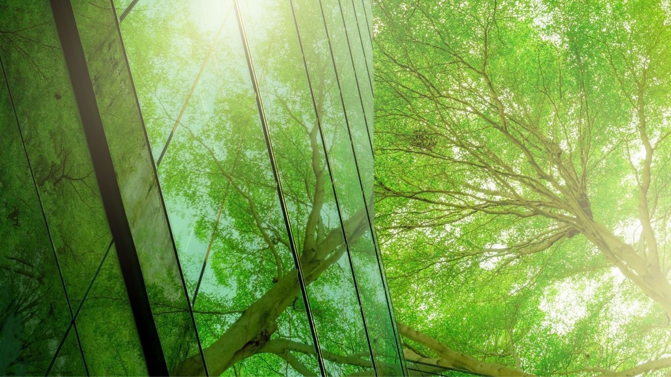 Sustainability Image