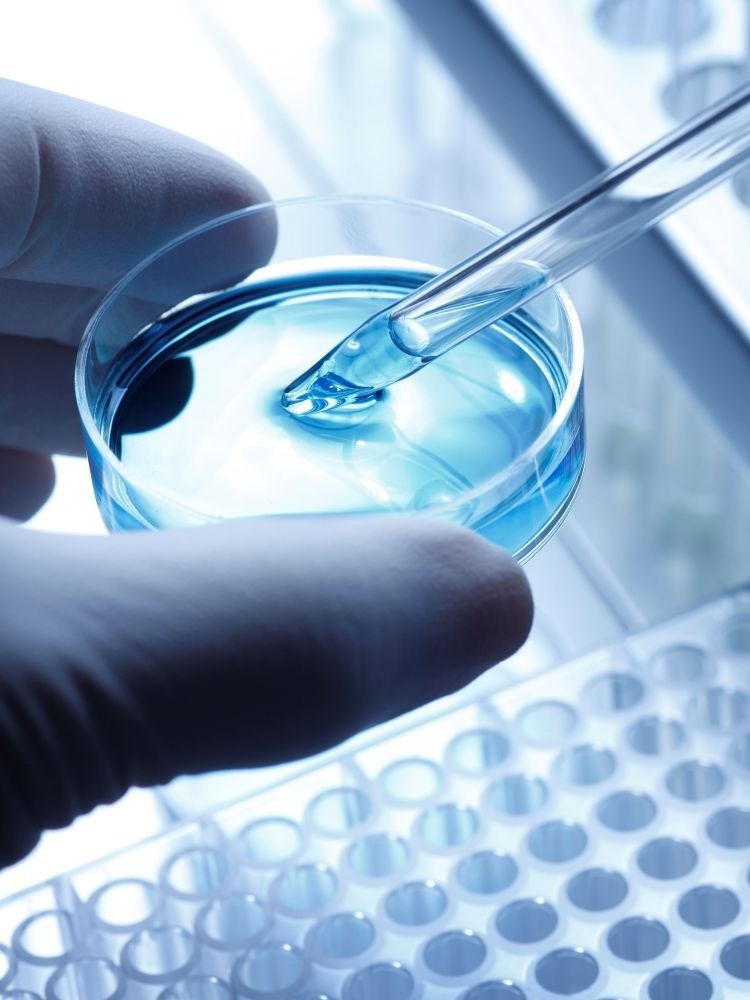 liquid in petri dish