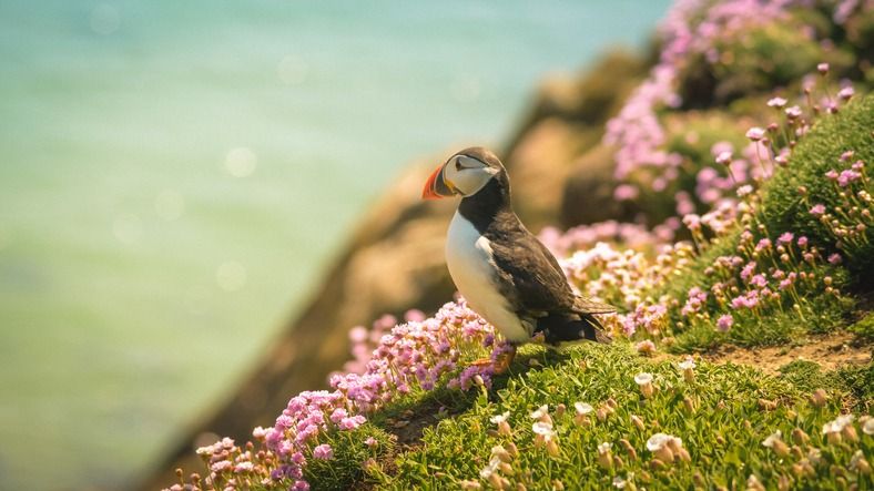 Scenic view of Ireland