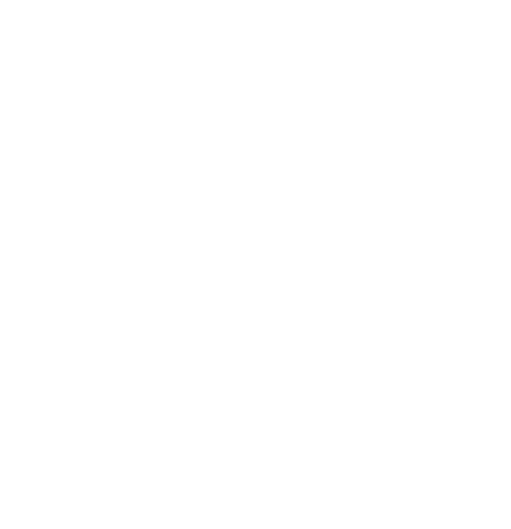 Aircraft Consultancy Services