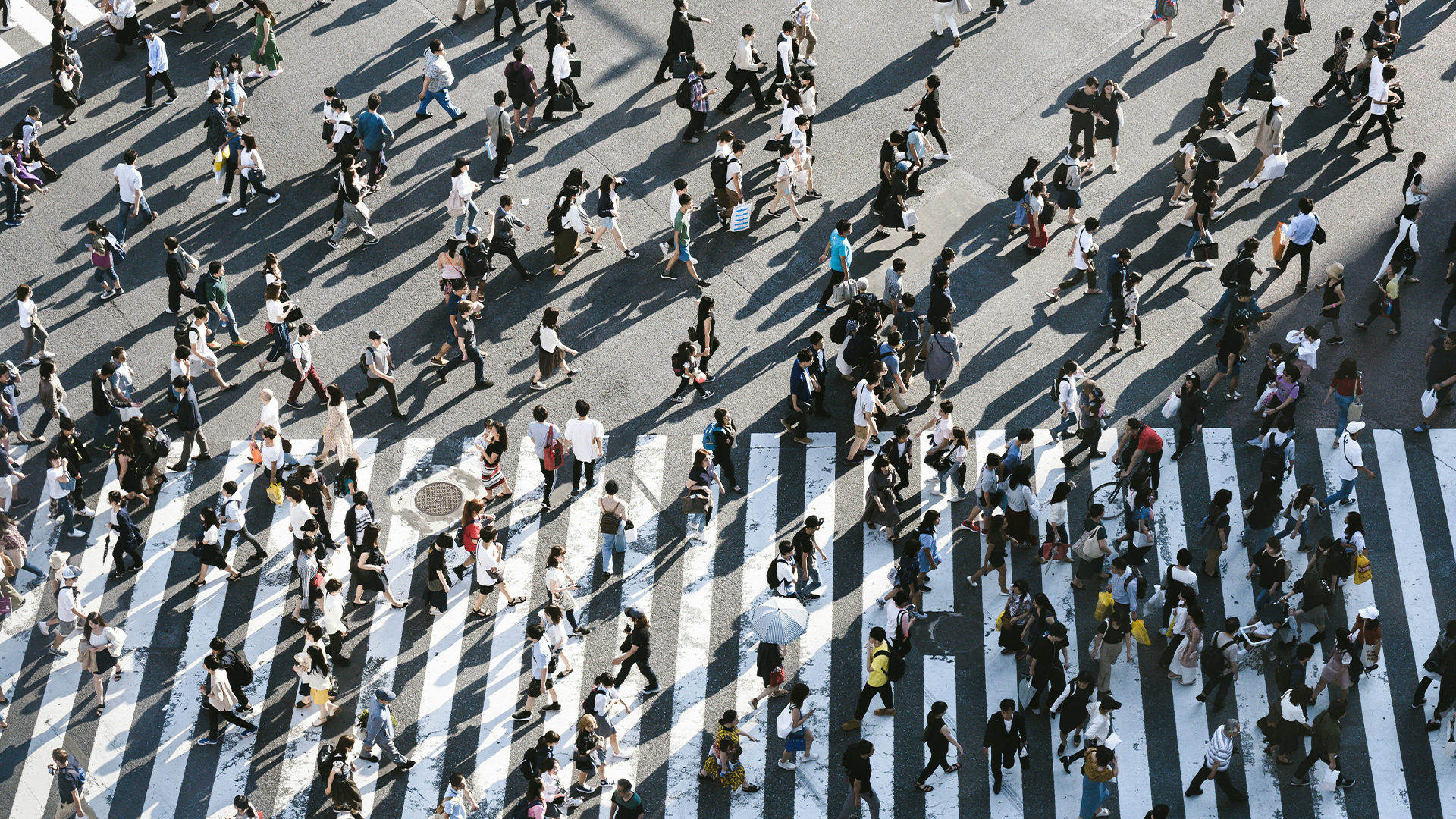 Established Contractor Volume 