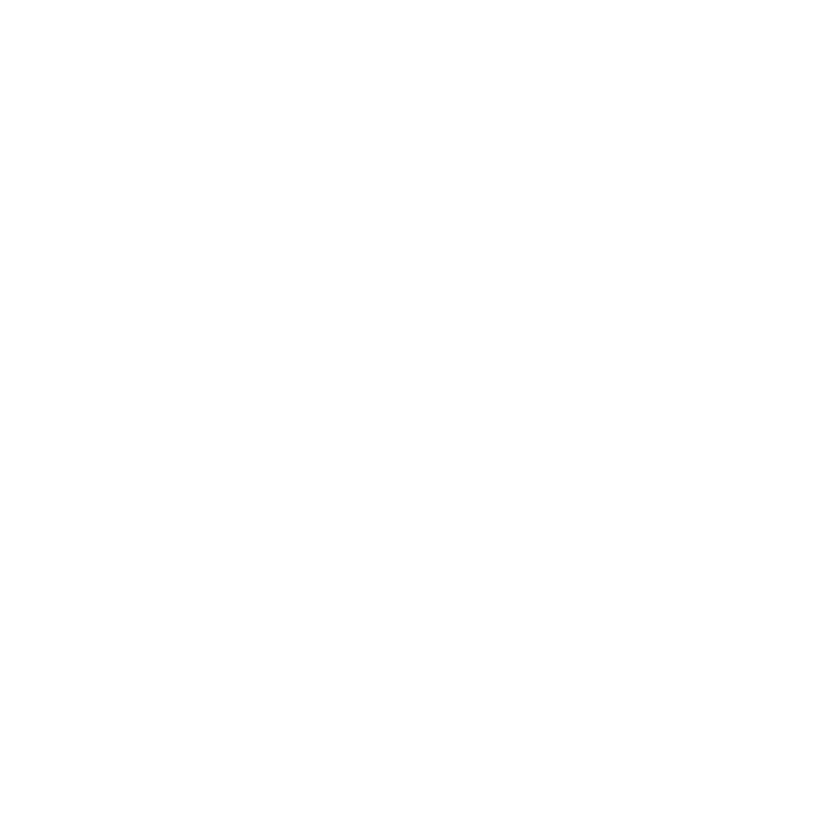 Digital Identity and Fraud