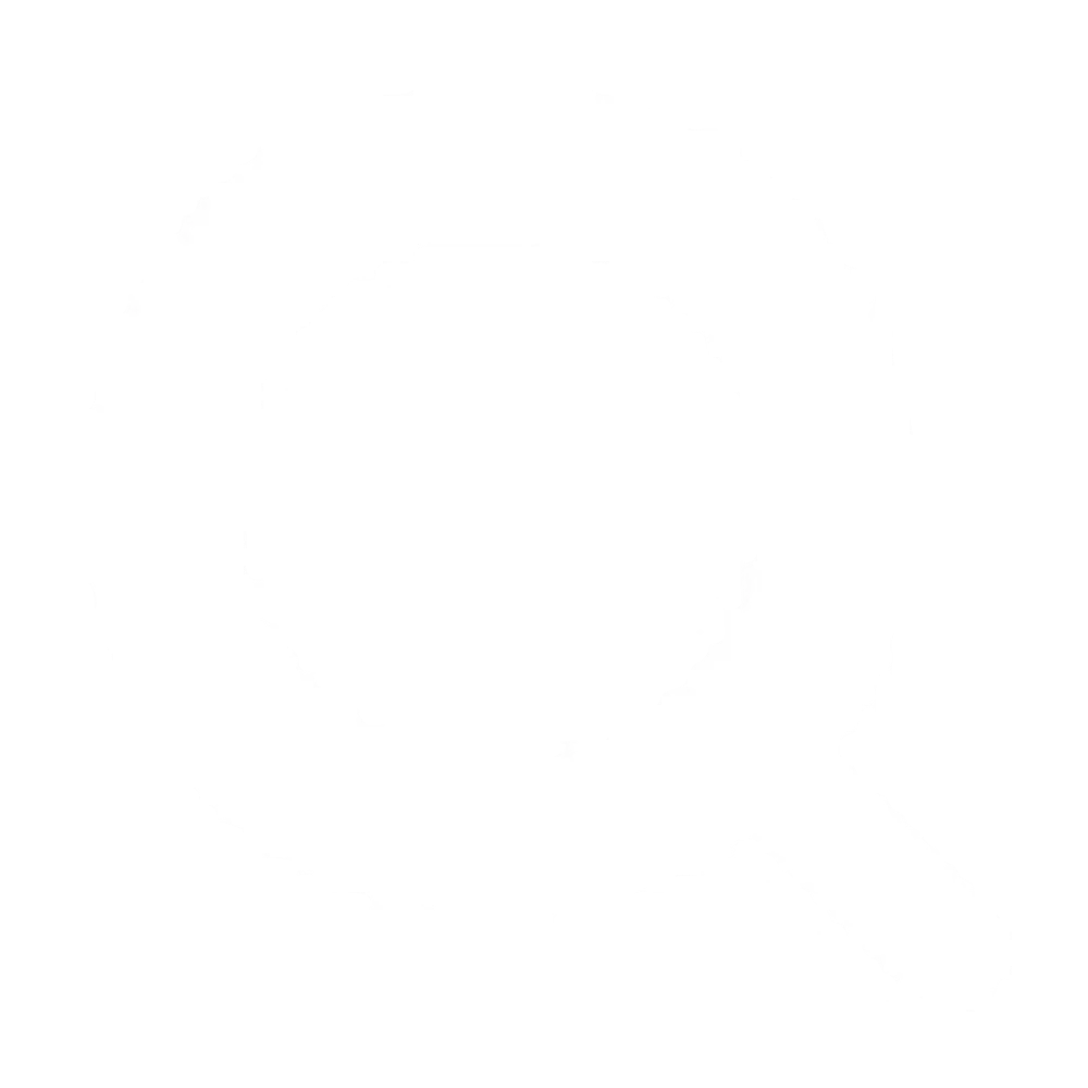 Executive Search