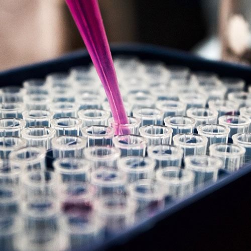 pipette in test tube