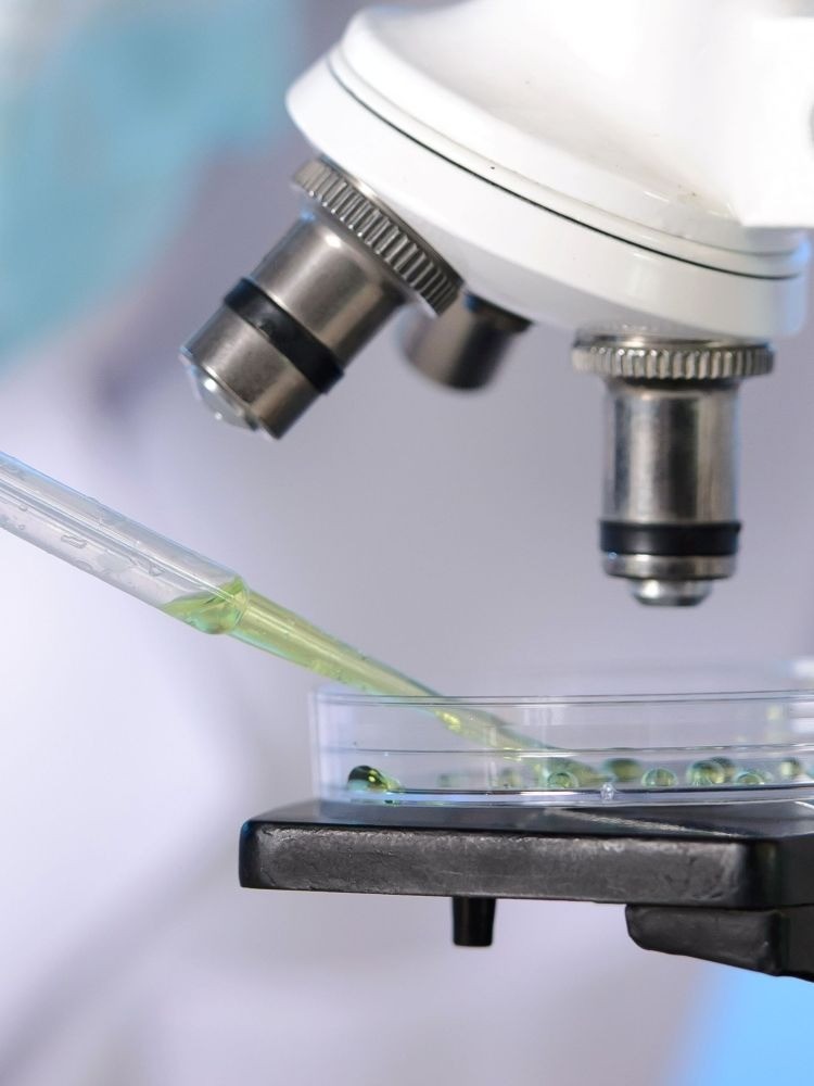 microscope and petri dish