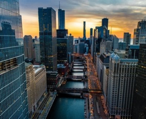 Discovery & Market Intelligence