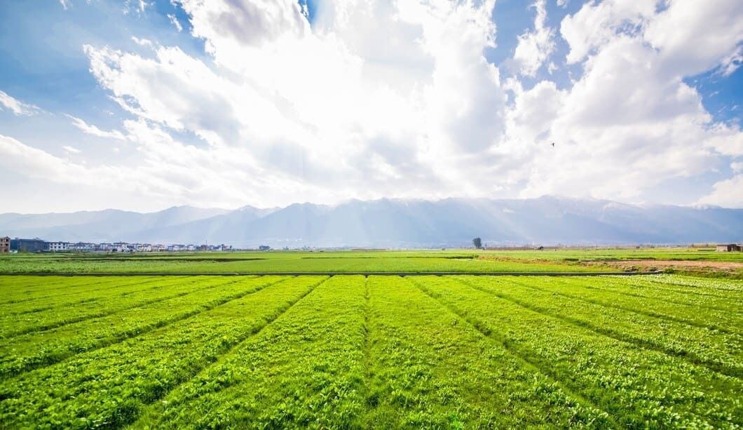 agriculture & farming - MyWorld Careers Myanmar