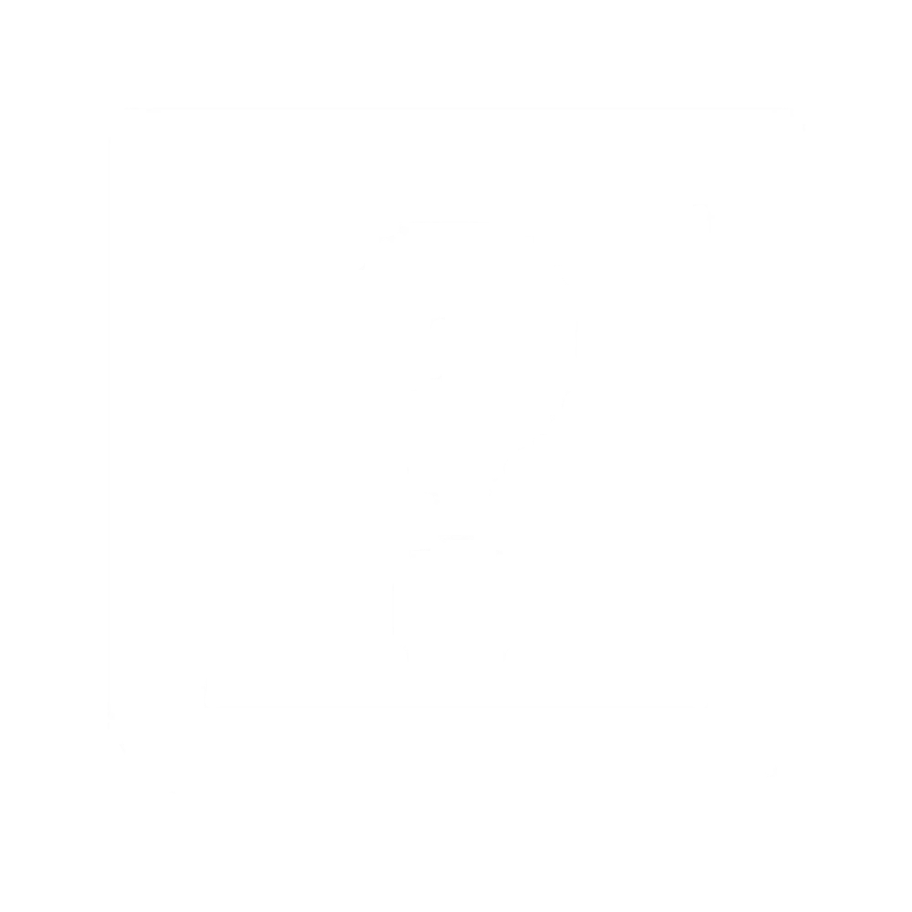 Project Support