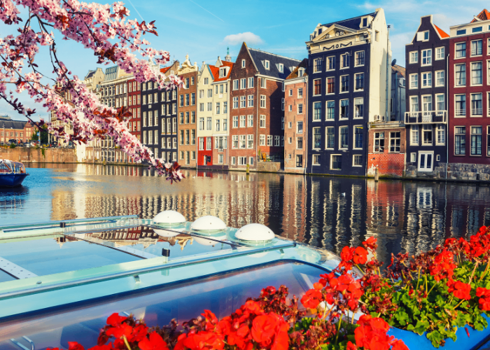 Looking for a job in the Netherlands?