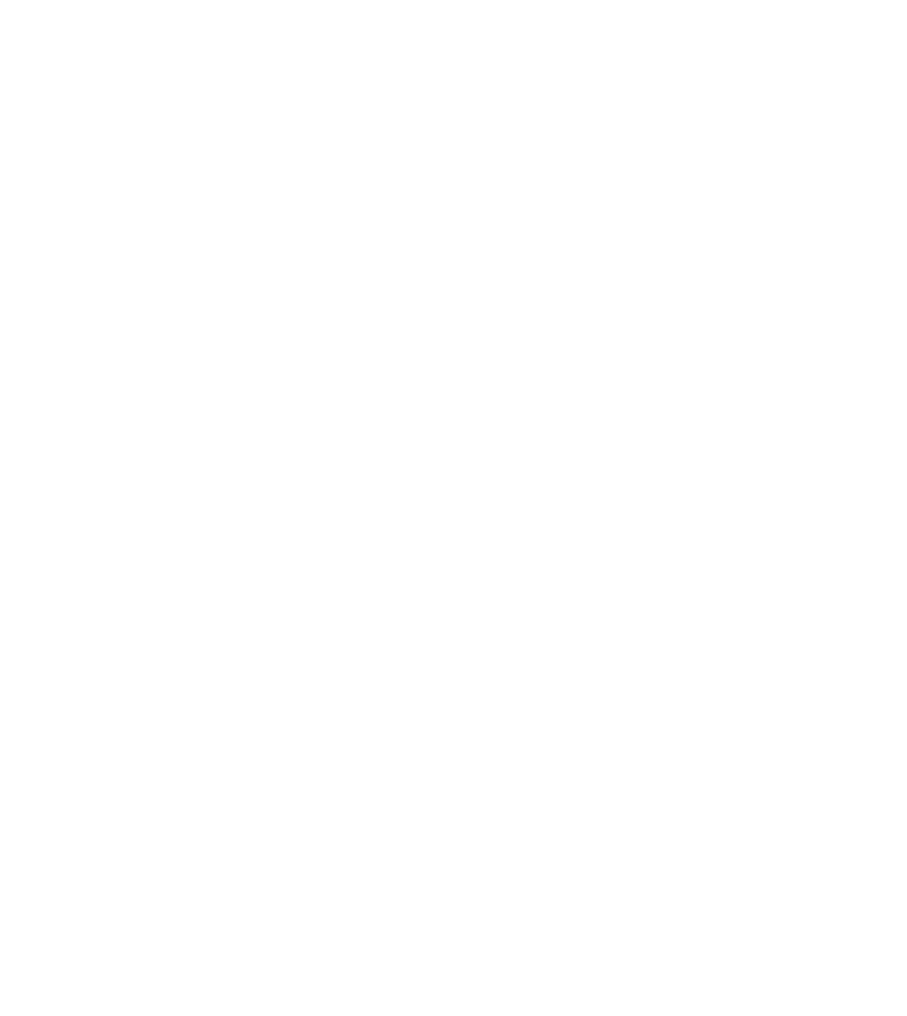 Entry into Service & Lease Return