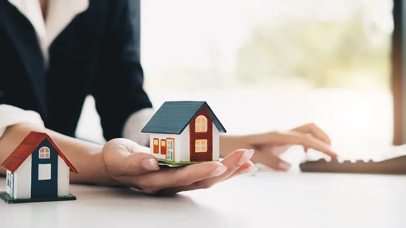 Real Estate & Property
