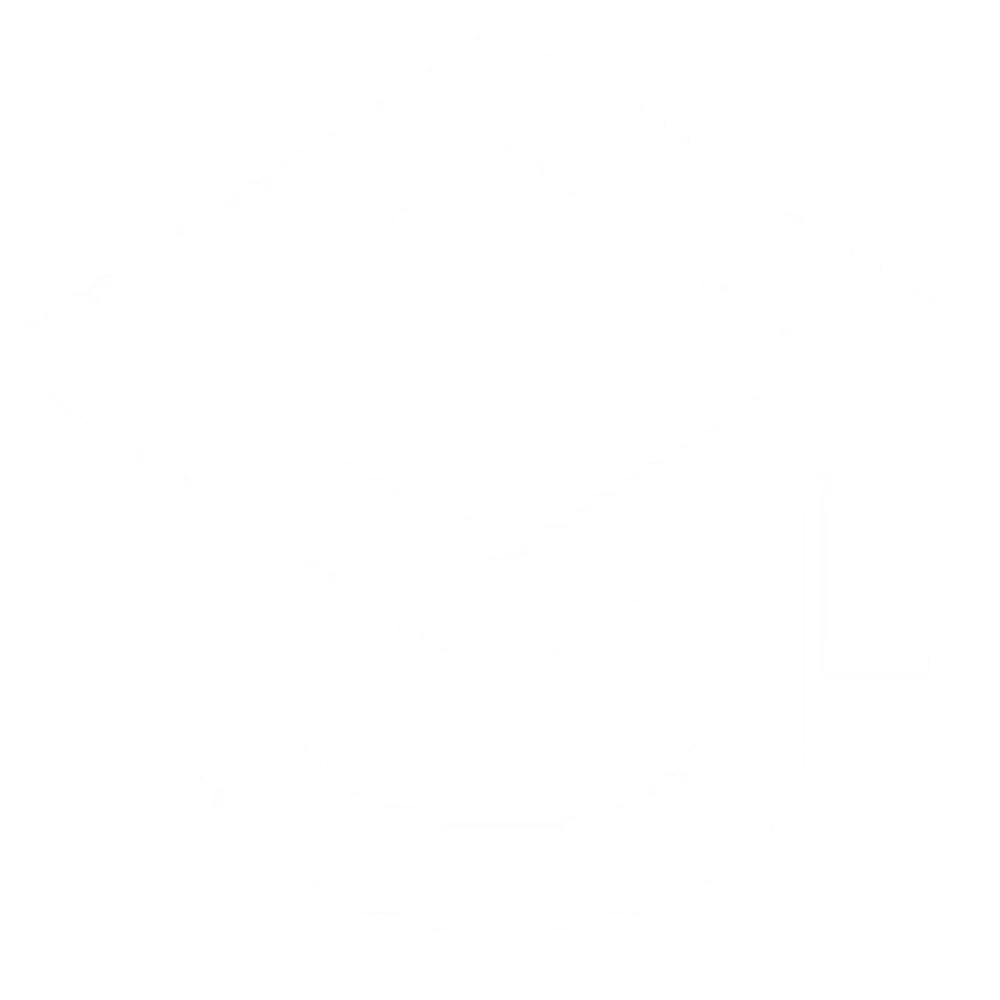 Online Aviation Training
