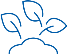 SPED Specific Lesson Plan
