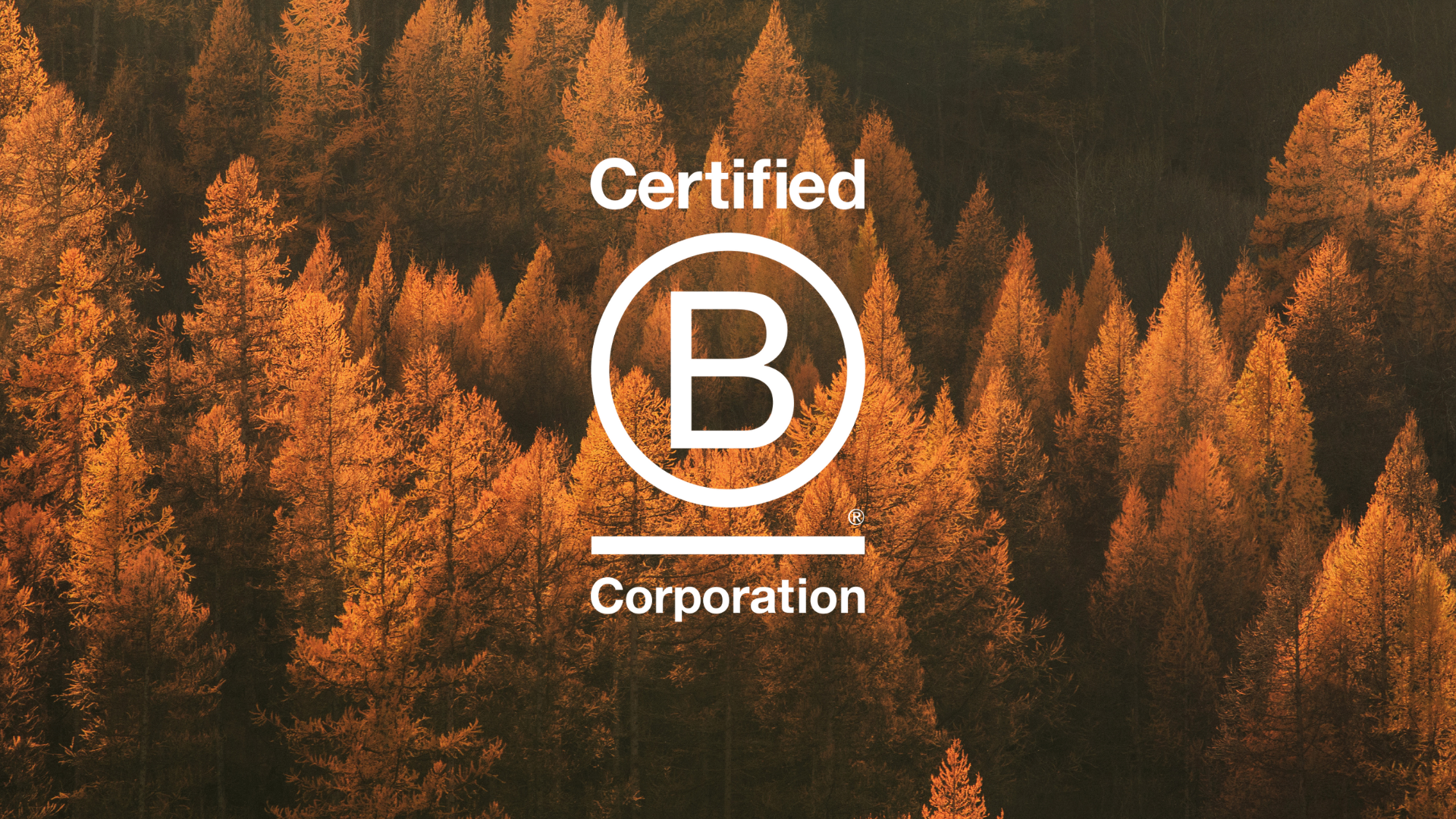 Ethical and Trustworthy