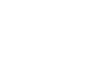 icon-Intelligence