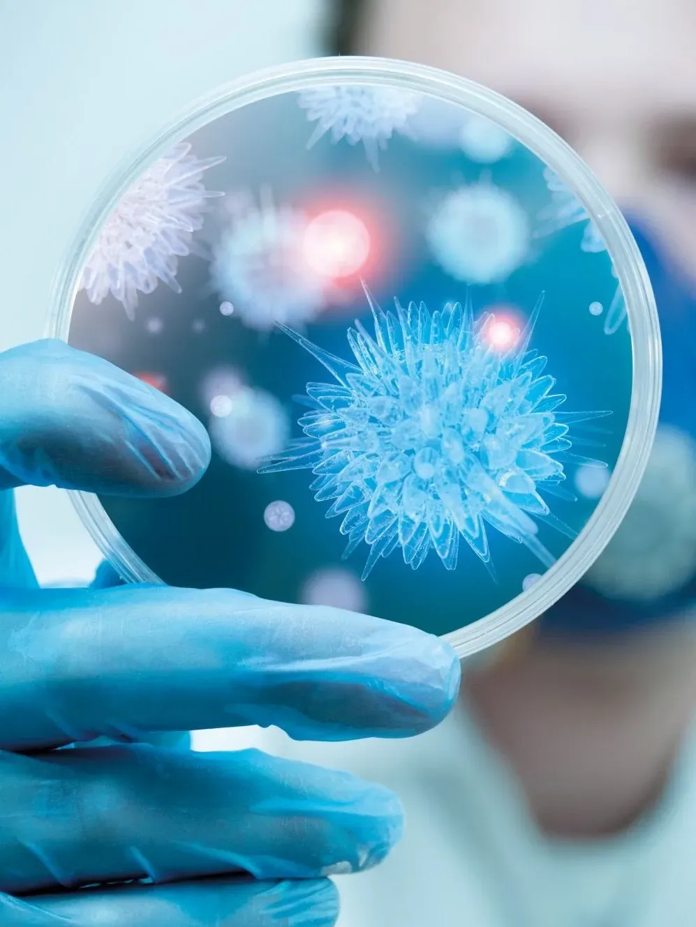 petri dish