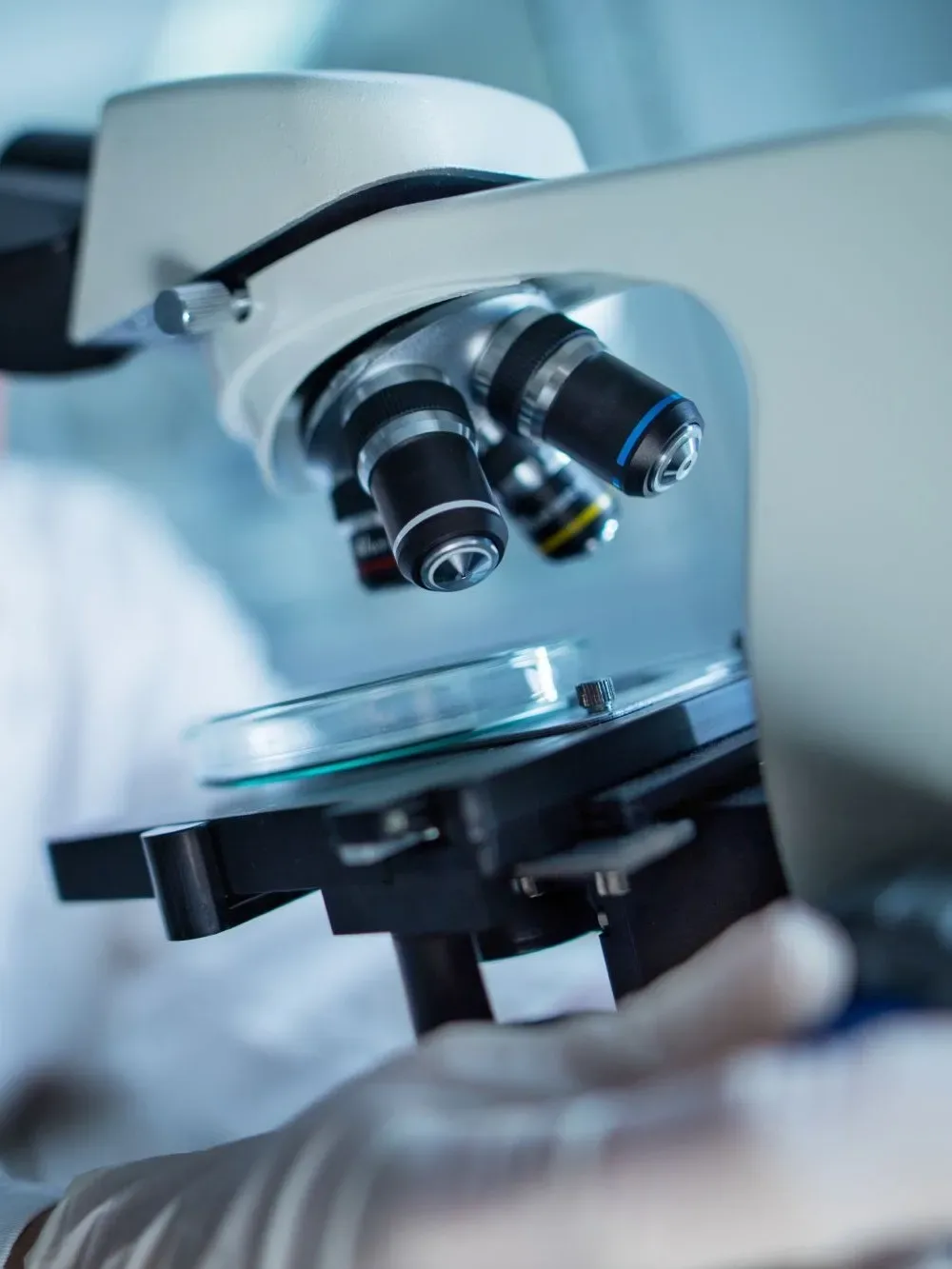microscope