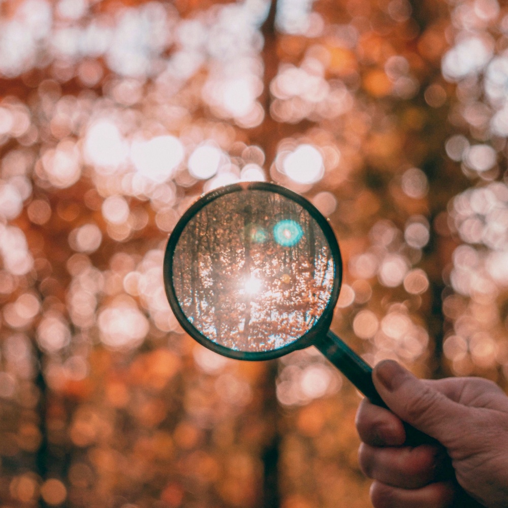 <h1>1. Scoping / 'Fit'</h1>