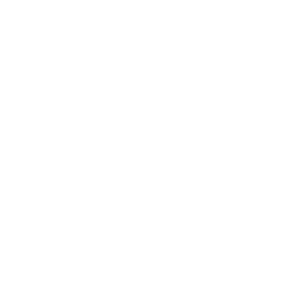 Entry into Service & Lease Return