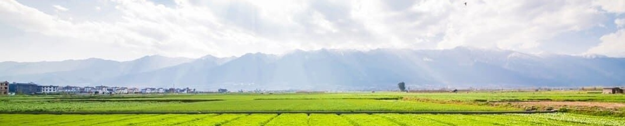 Agriculture & Farming - MyWorld Careers Myanmar