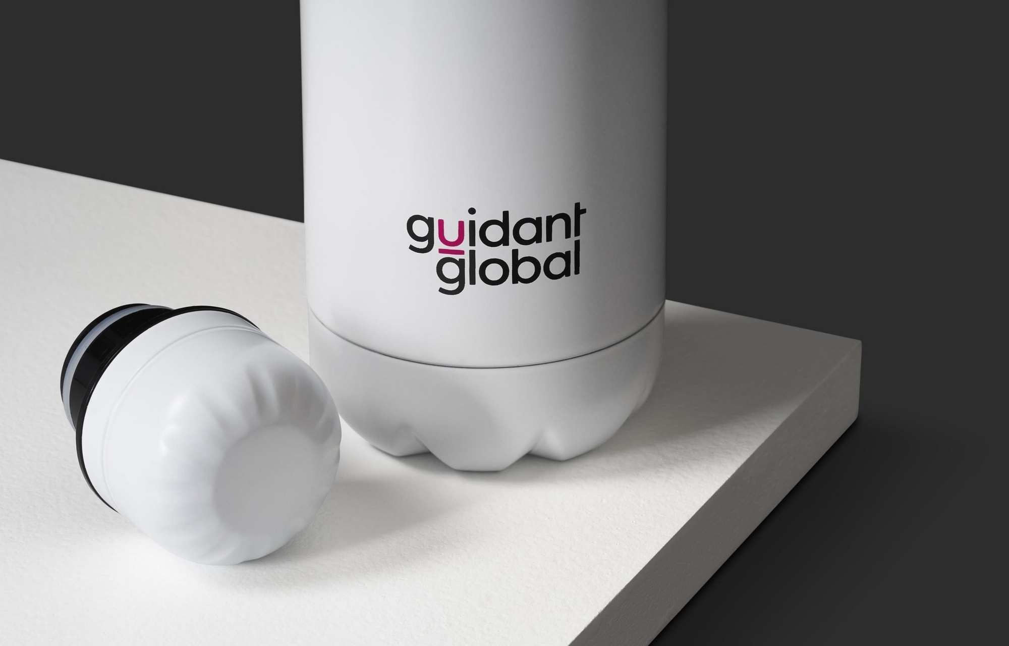 Guidant Global case study