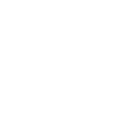 df bdg  icon