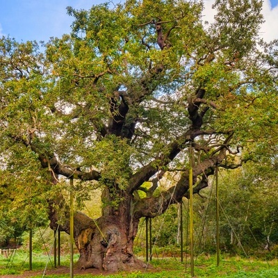 Nottinghamshire Jobs