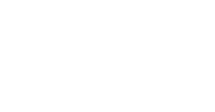 The Protocol Group Logo