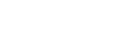Trinnovo Consulting