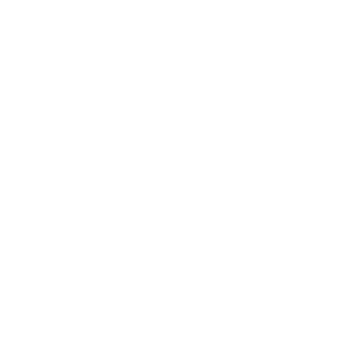 Career Progression Routes