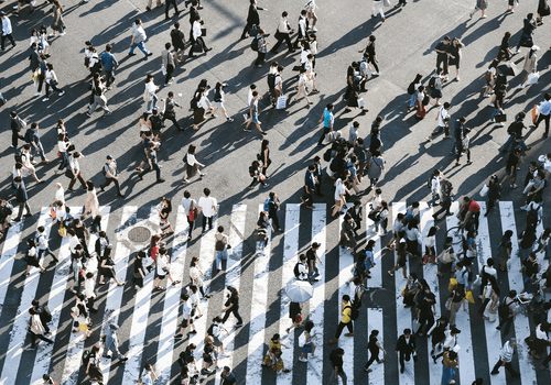 Established Contractor Volume 